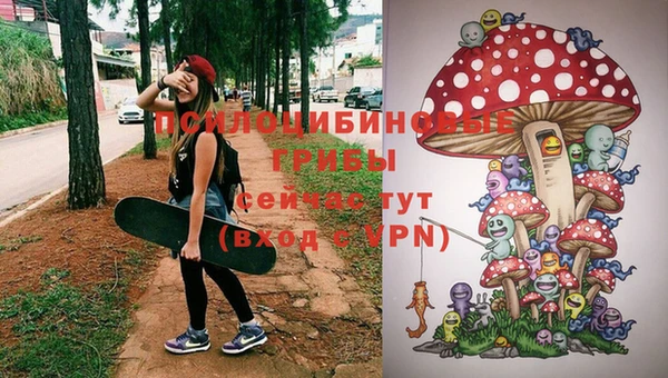 молекула духа Балахна