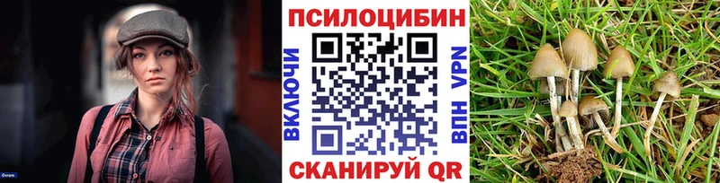 где найти наркотики  Сатка  Псилоцибиновые грибы Magic Shrooms 